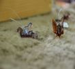 167DSC_0041.jpg