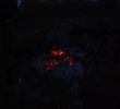 108DSC_1233.jpg