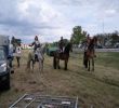 0010-SAM_4144.jpg