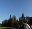 0035-DSC03544.jpg