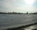 IMG_5031.jpg